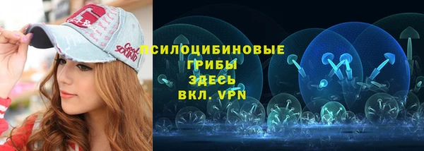 СК Богородицк