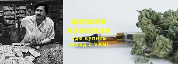 мяу мяу кристалл Богданович