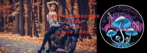 мяу мяу кристалл Богданович
